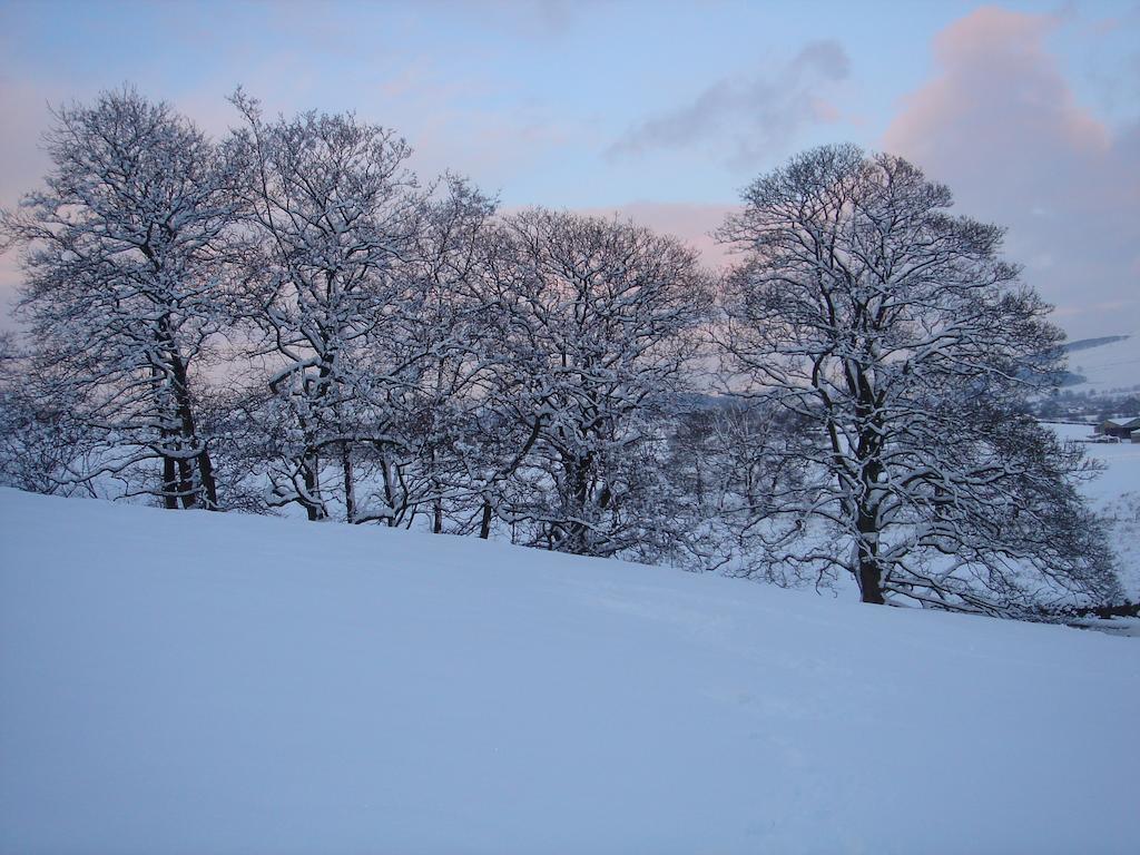 Littlebank Country House Settle Kültér fotó